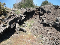 nte Cicirello-10042012 034